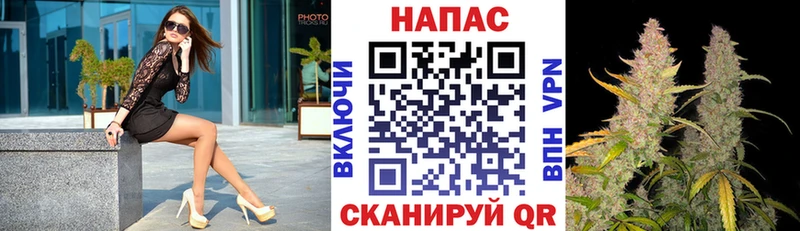 где купить   кракен маркетплейс  Бошки марихуана THC 21%  Микунь 